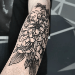 Lucas Harman - chrysanthemum